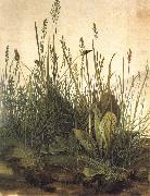 Albrecht Durer The Great Ture USA oil painting artist